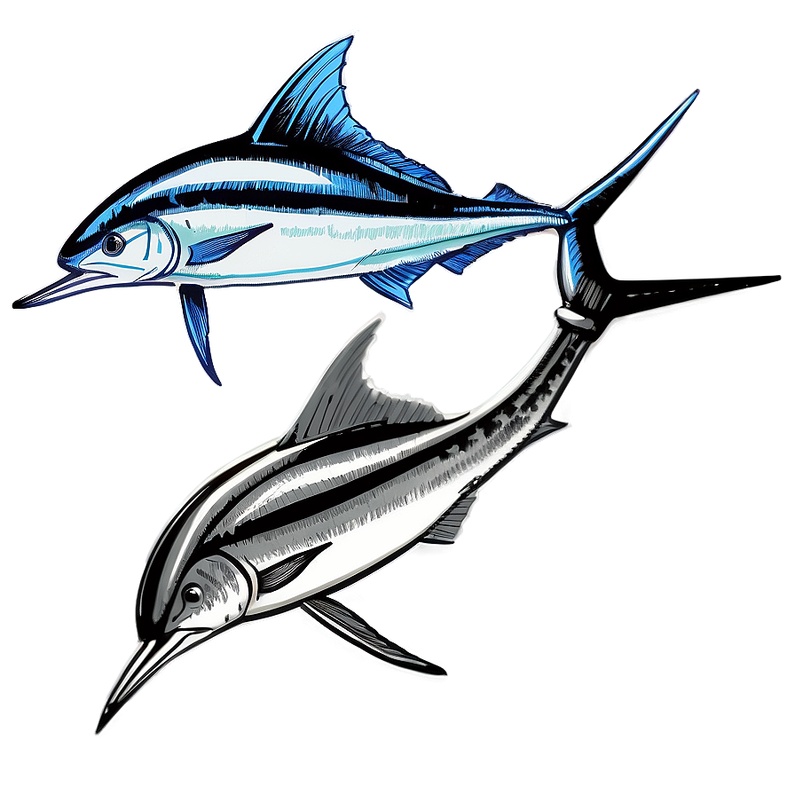 Vintage Marlin Sketch Png 42 PNG