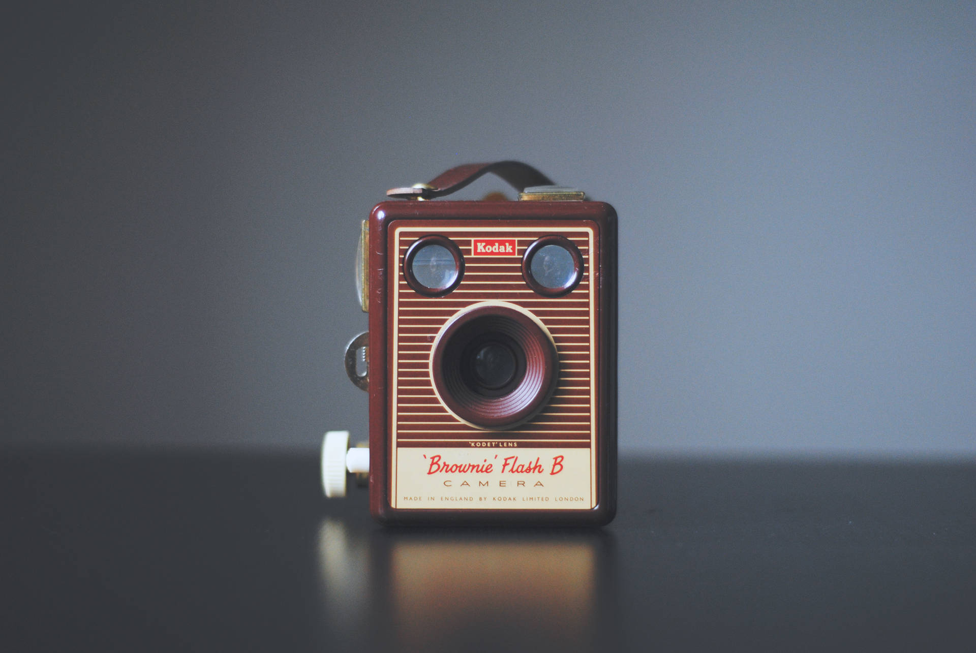 Vintage Minimalist Brown Camera Wallpaper