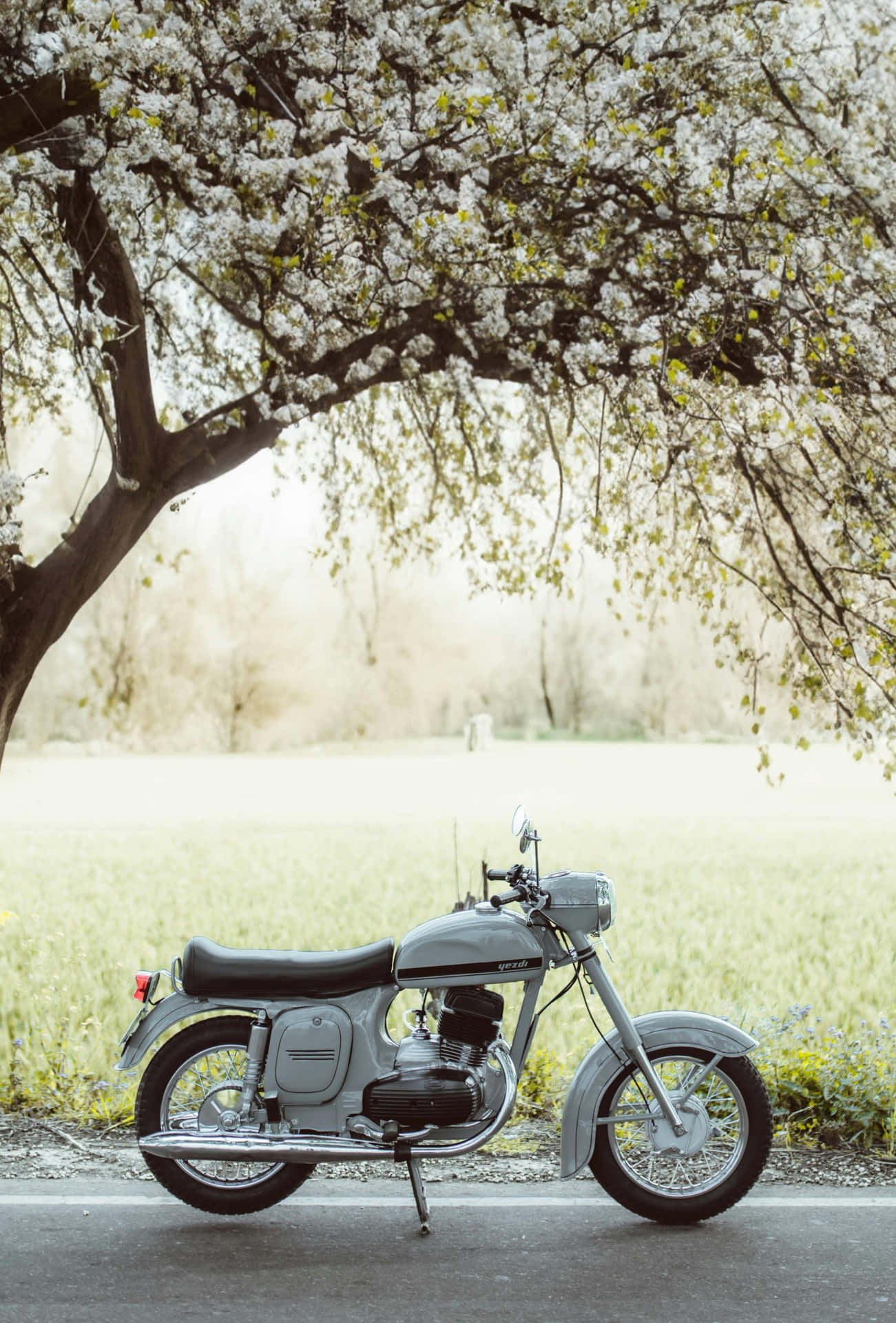 Vintage Motorfiets Onder Bloeiende Boom Achtergrond