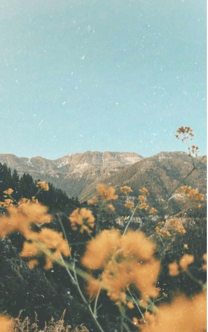 Vintage Mountain Viewwith Yellow Flowers Wallpaper