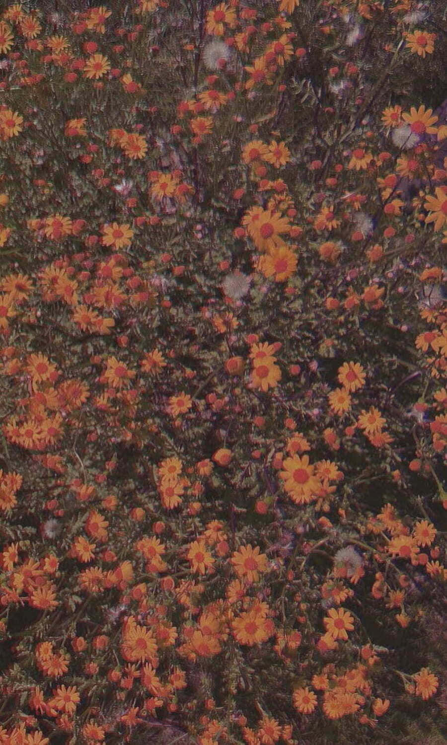 Vintage Orange Floral Texture Wallpaper