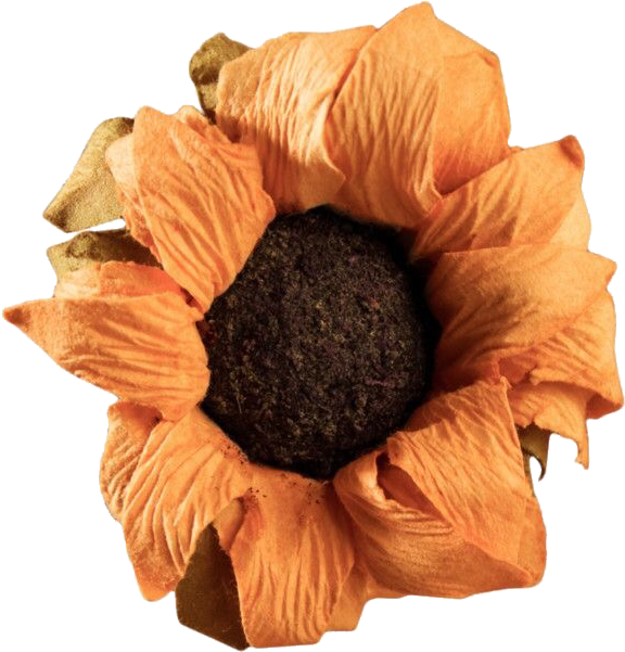 Vintage Orange Flower Isolated PNG