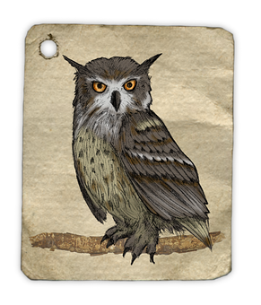 Vintage Owl Illustration PNG