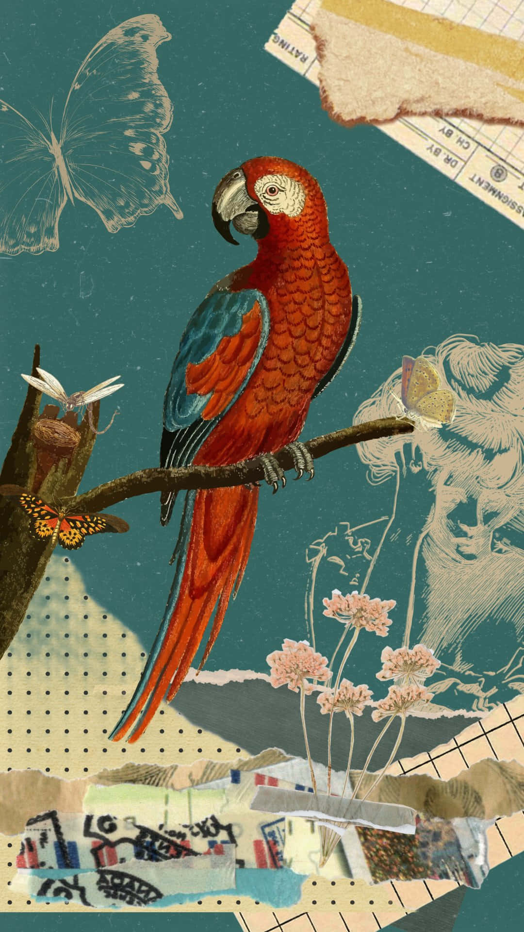 Vintage Parrot Collage Artwork Wallpaper