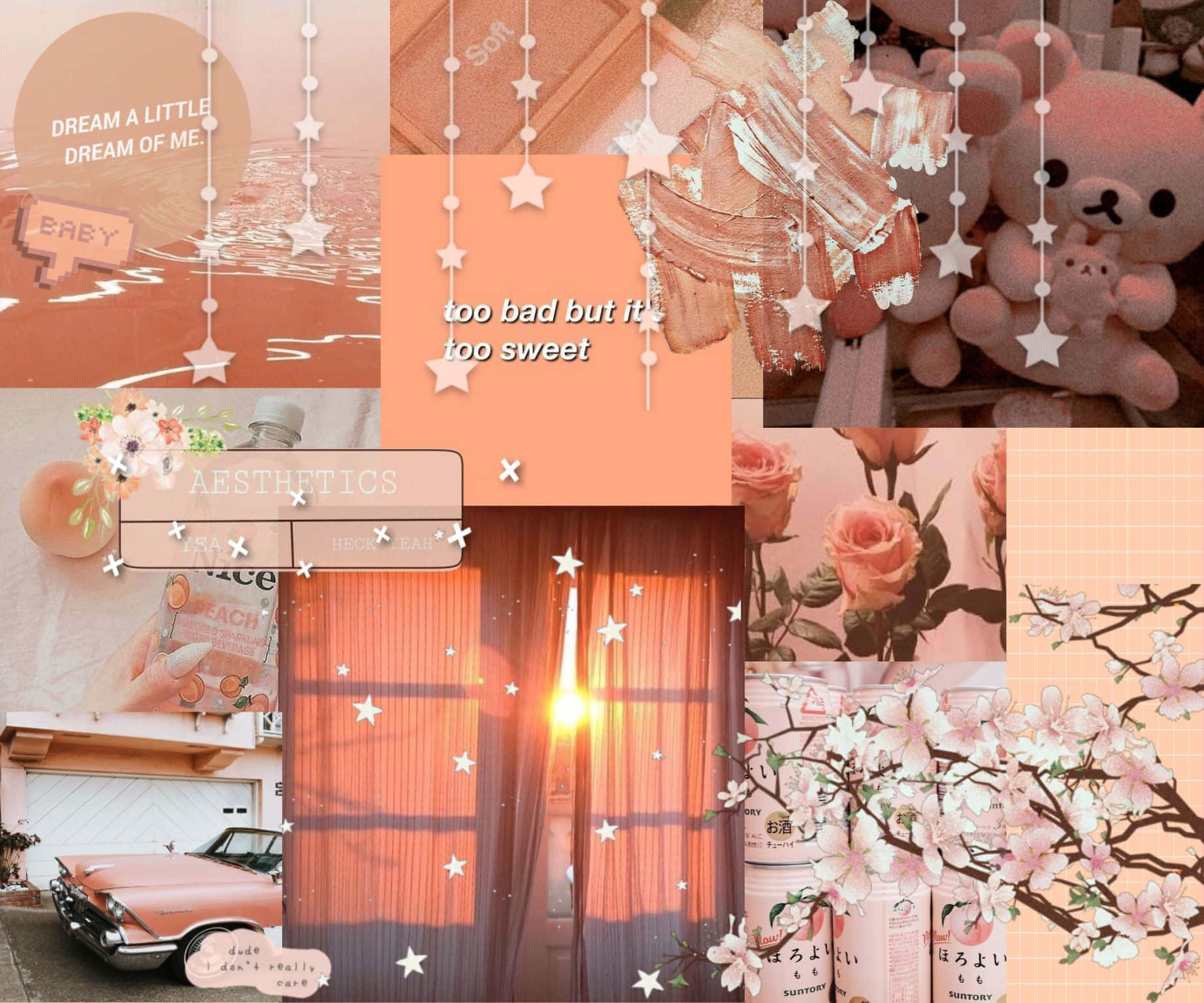 Vintage Peach Aesthetic Collage Wallpaper