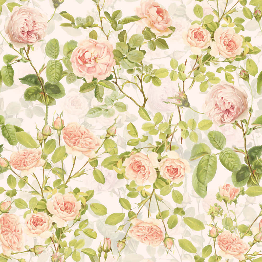 Classic, Timeless Vintage Peach Wallpaper