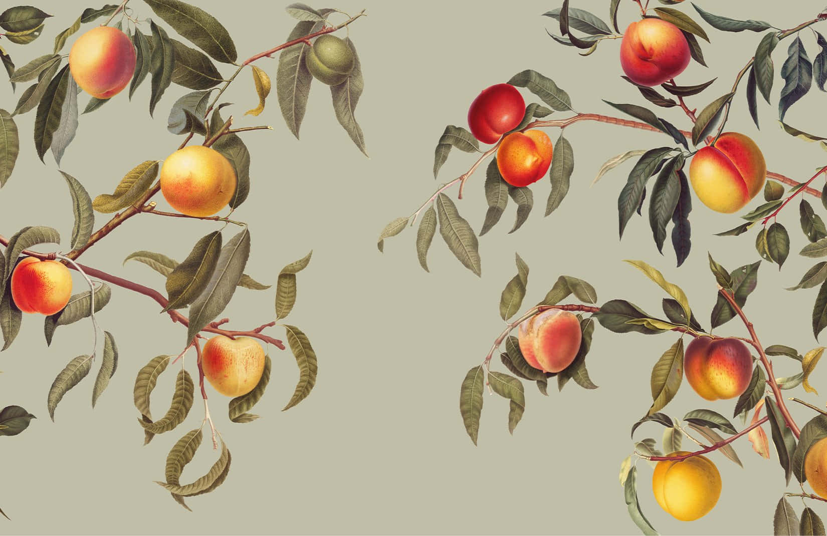 Enjoy the sweet and summer vibe with a glass of Vintage Peach Wallpaper