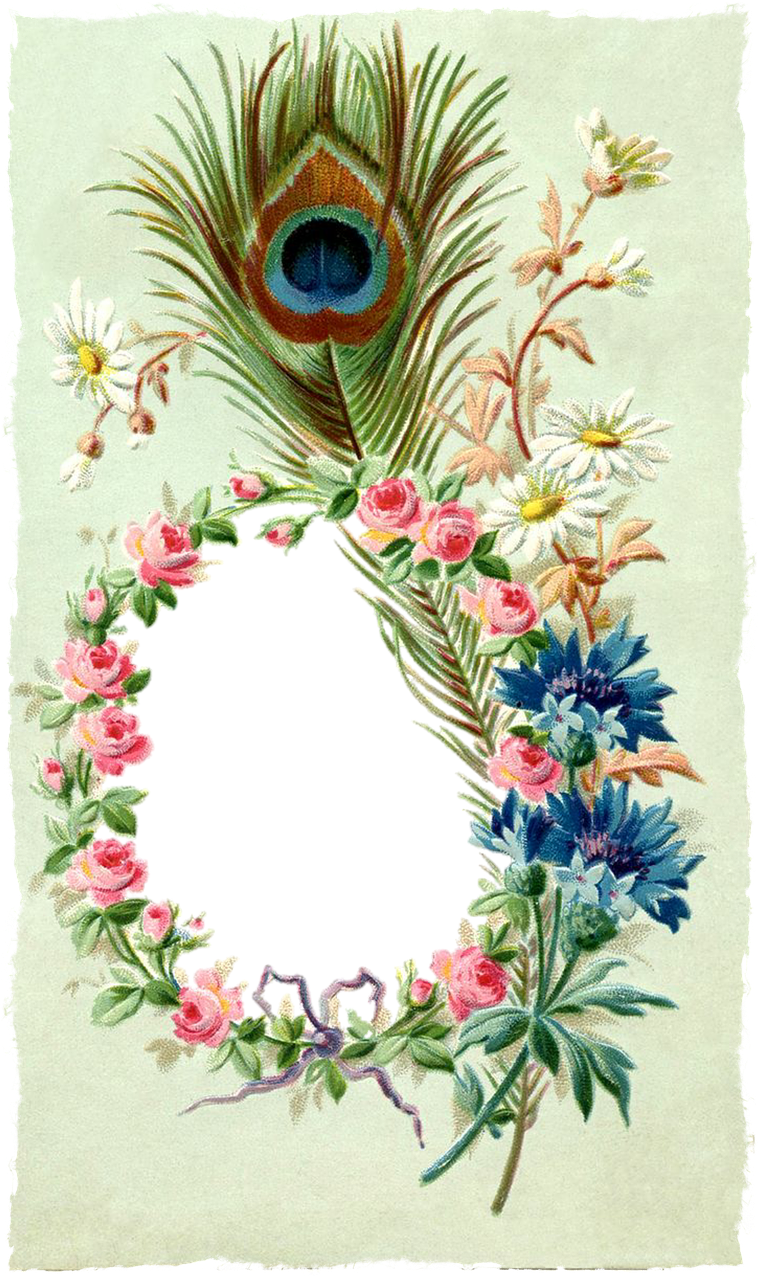 Vintage Peacock Feather Floral Frame PNG