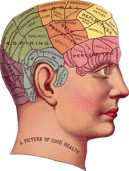 Vintage Phrenology Head Illustration PNG