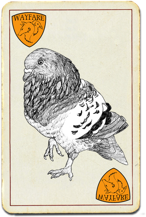 Vintage Pigeon Illustration Card PNG