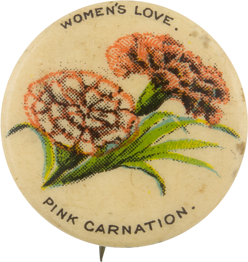 Vintage Pink Carnation Pinback PNG