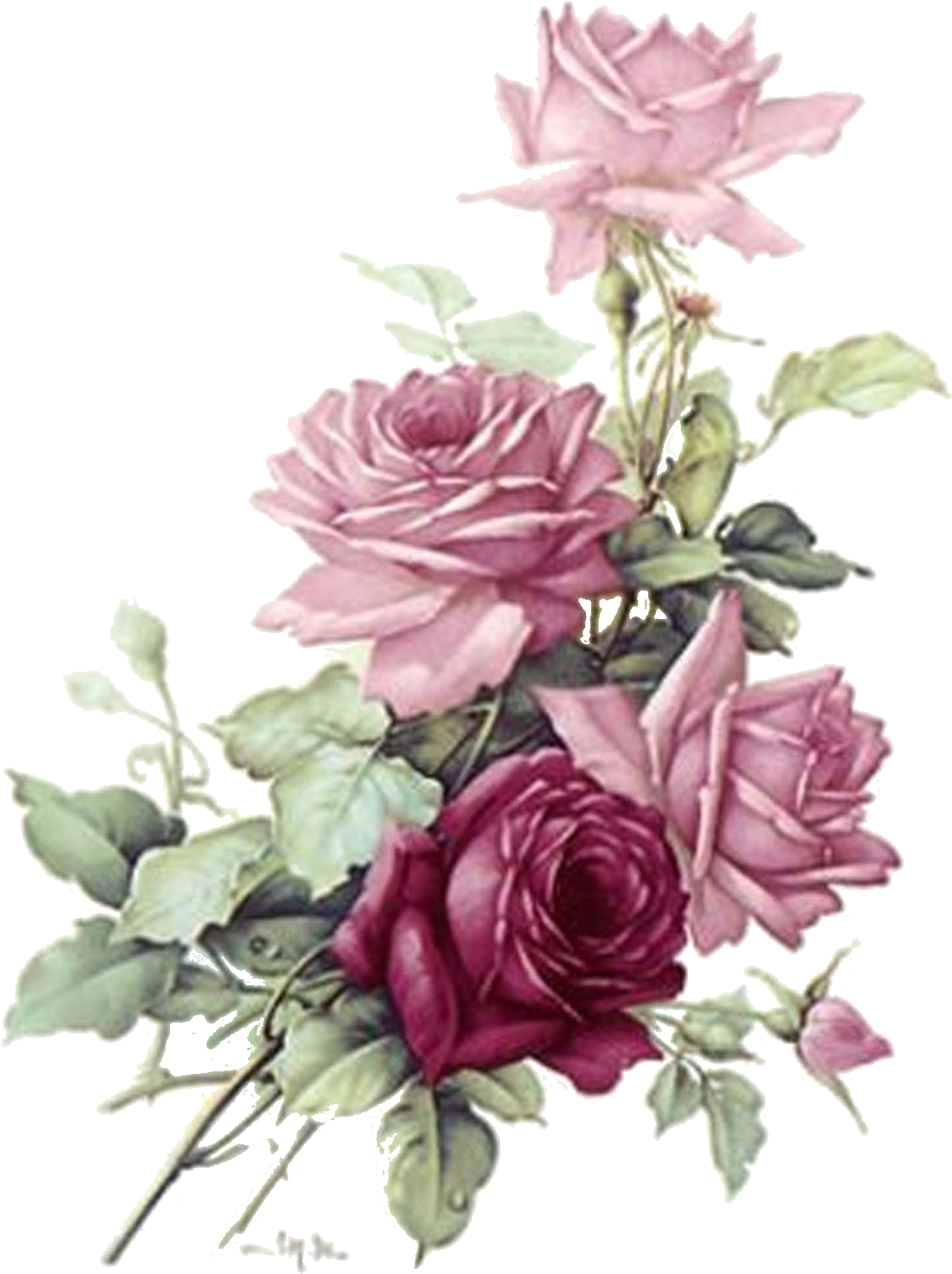Vintage Pink Roses Bouquet PNG