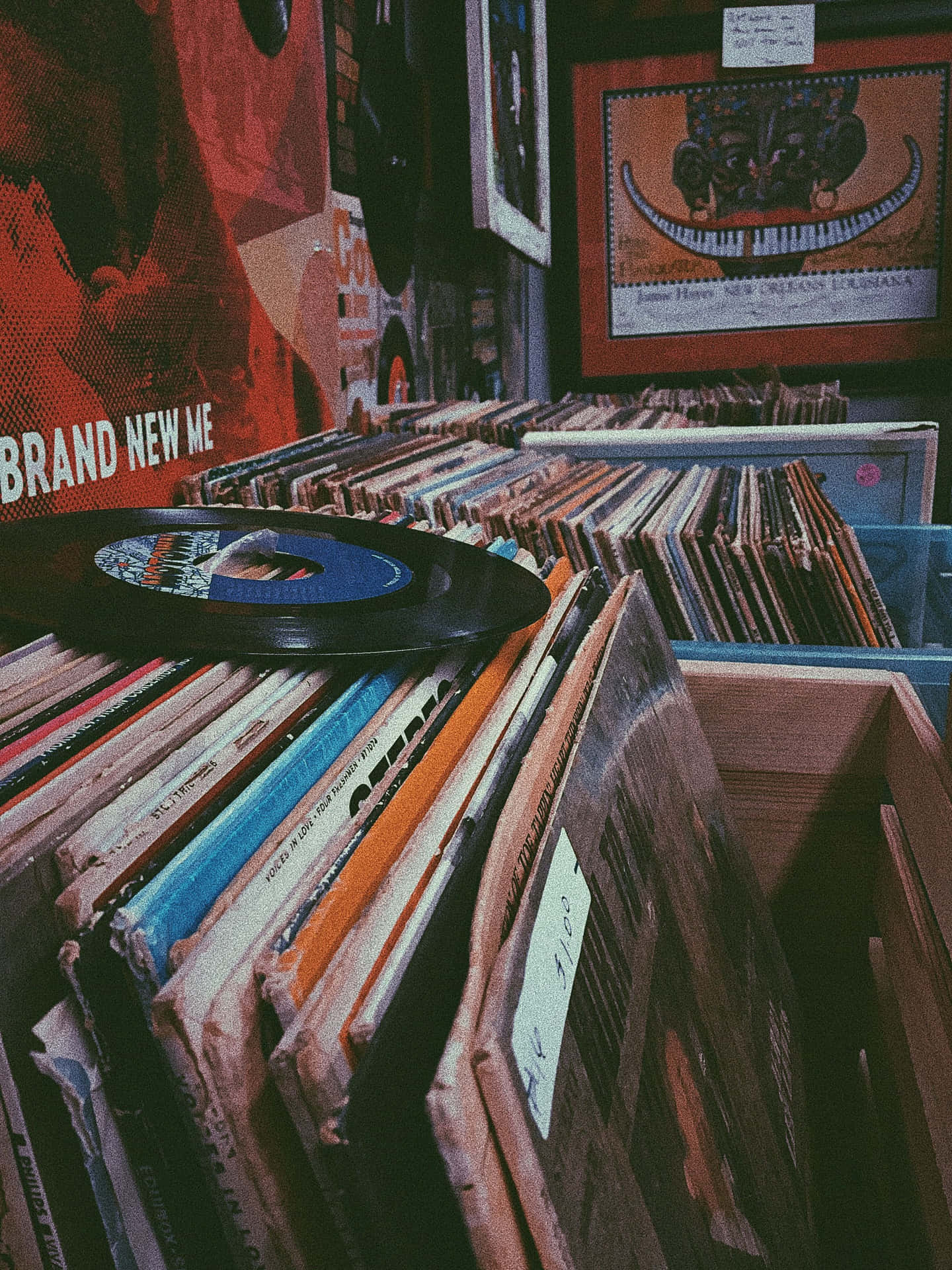 Vintage Record Shop Vibes Wallpaper
