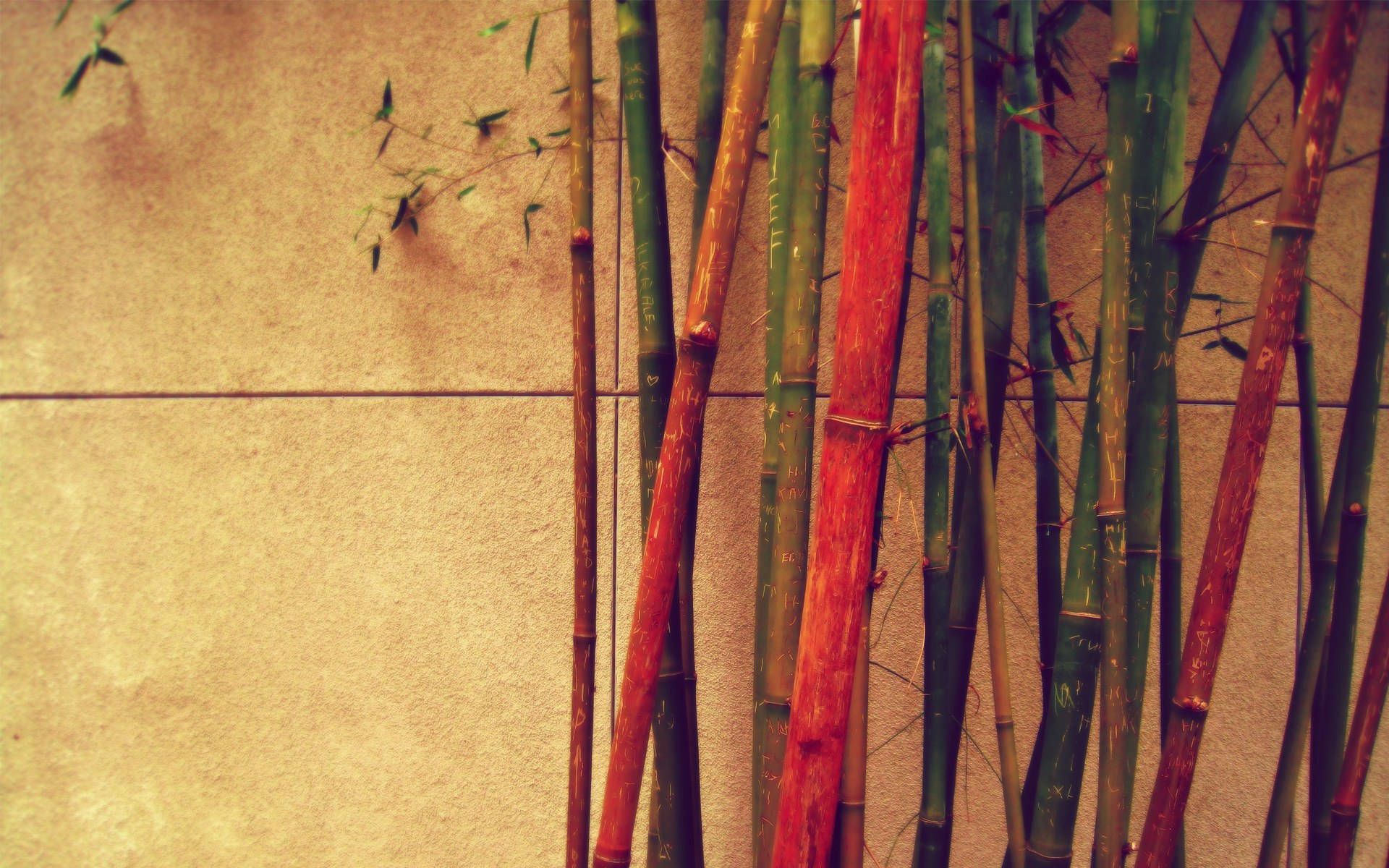 Vintage Red Bamboo