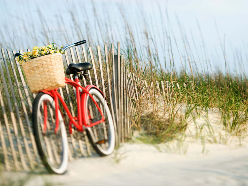 Vélo Vintage Rouge Sur Les Dunes De Plage Fond d'écran