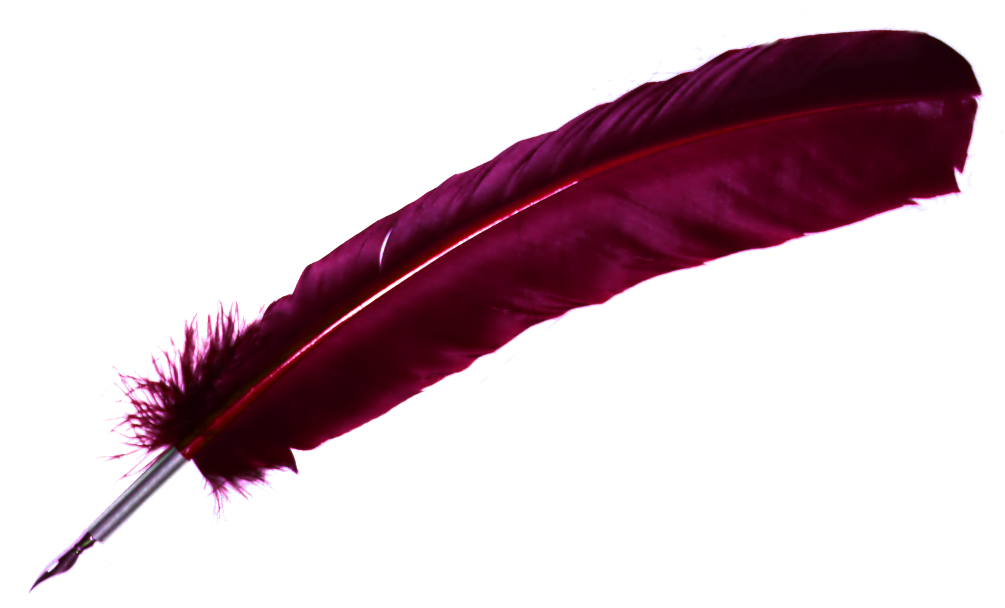 Vintage Red Feather Pen.png PNG