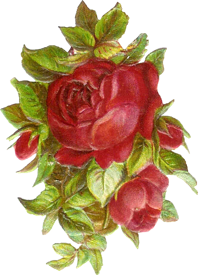 Vintage Red Rose Cluster.png PNG