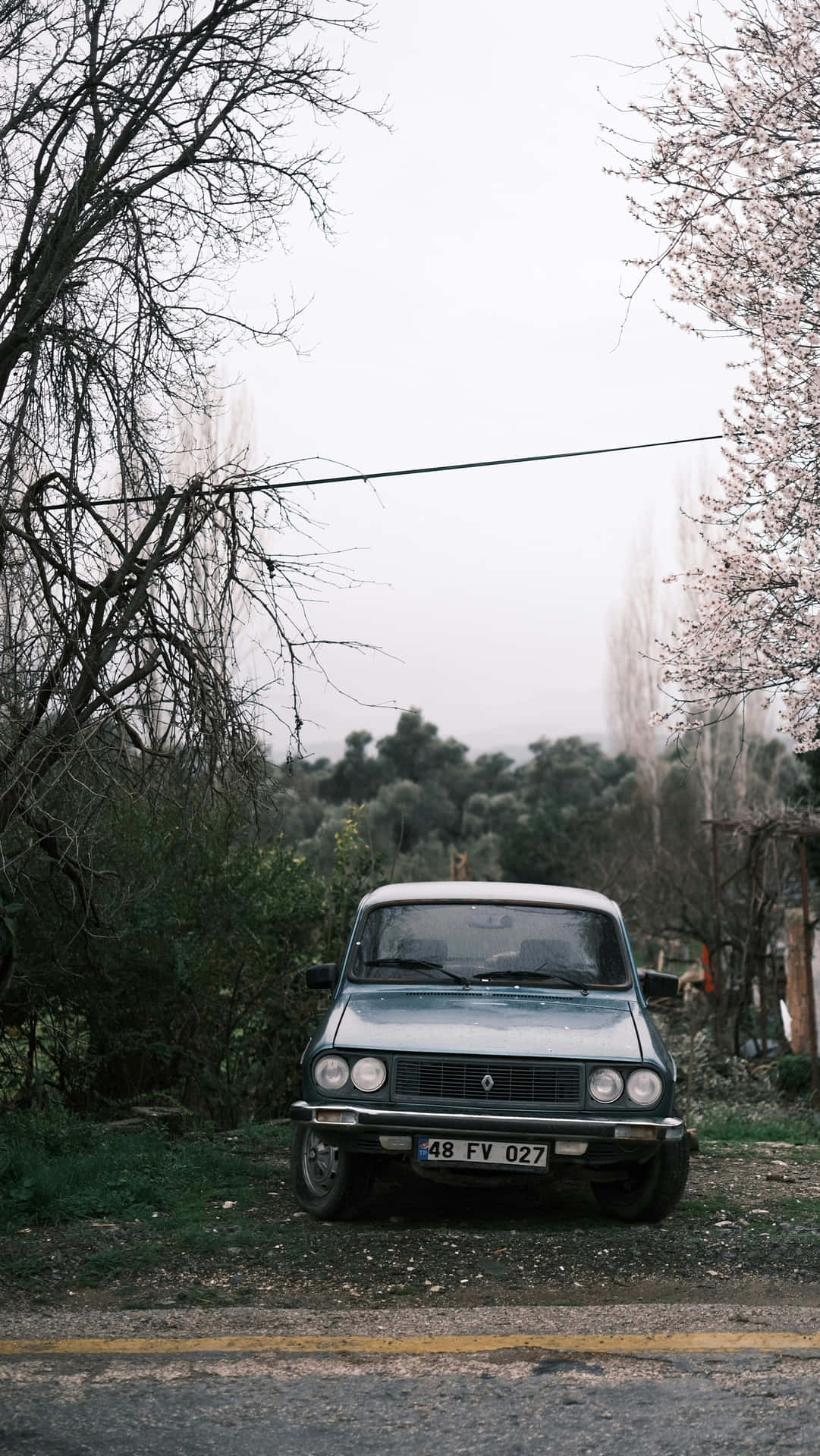 Vintage Renault Twingo Geparkeerd Buiten Achtergrond