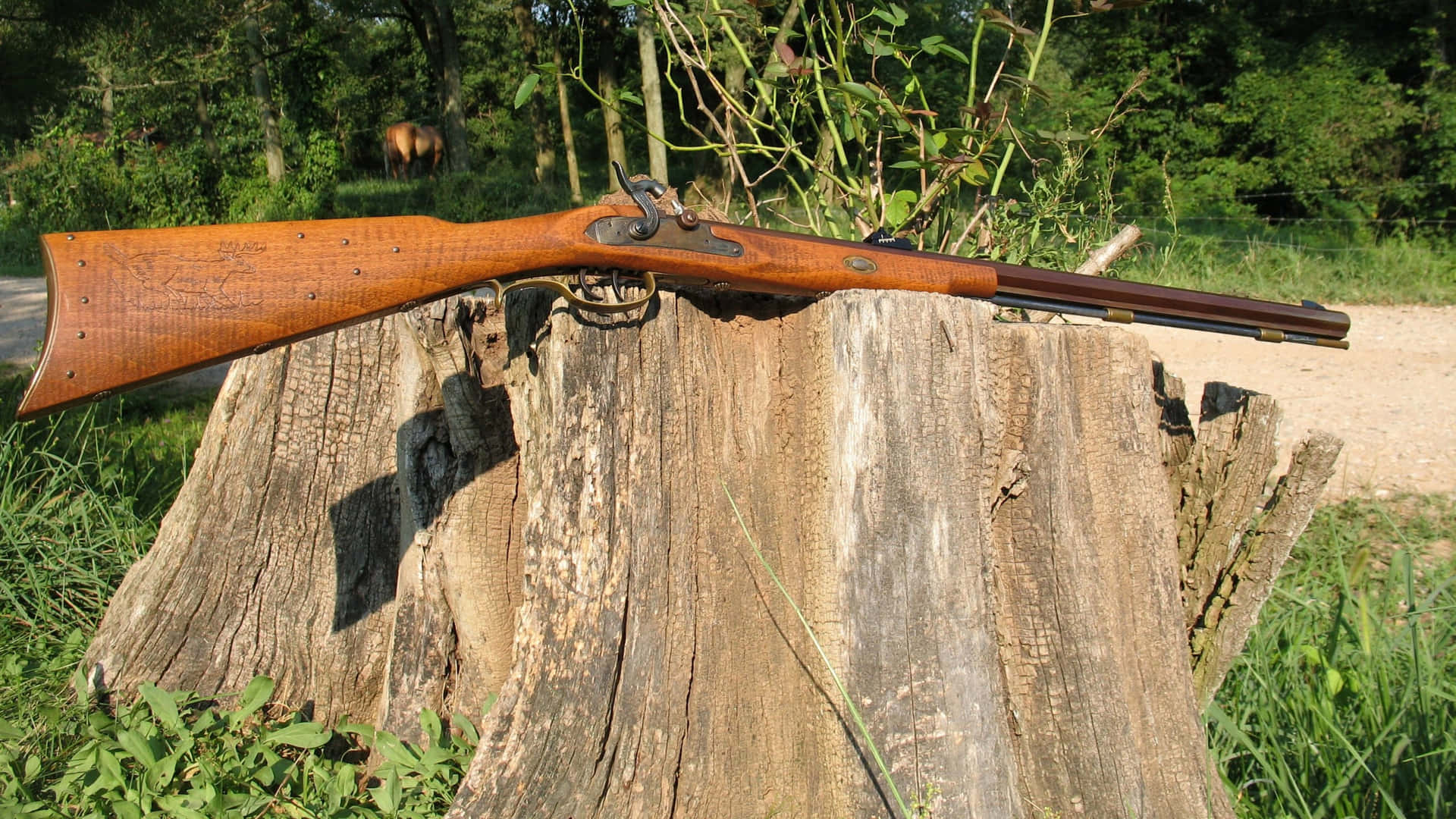 Vintage Geweer Leunend Tegen Boomstronk Achtergrond