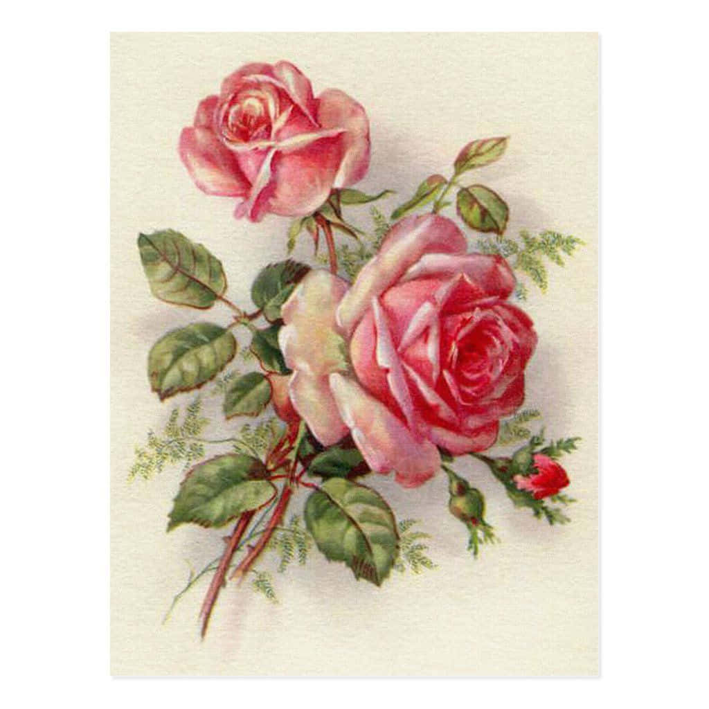 A Romantic Vintage Rose Wallpaper