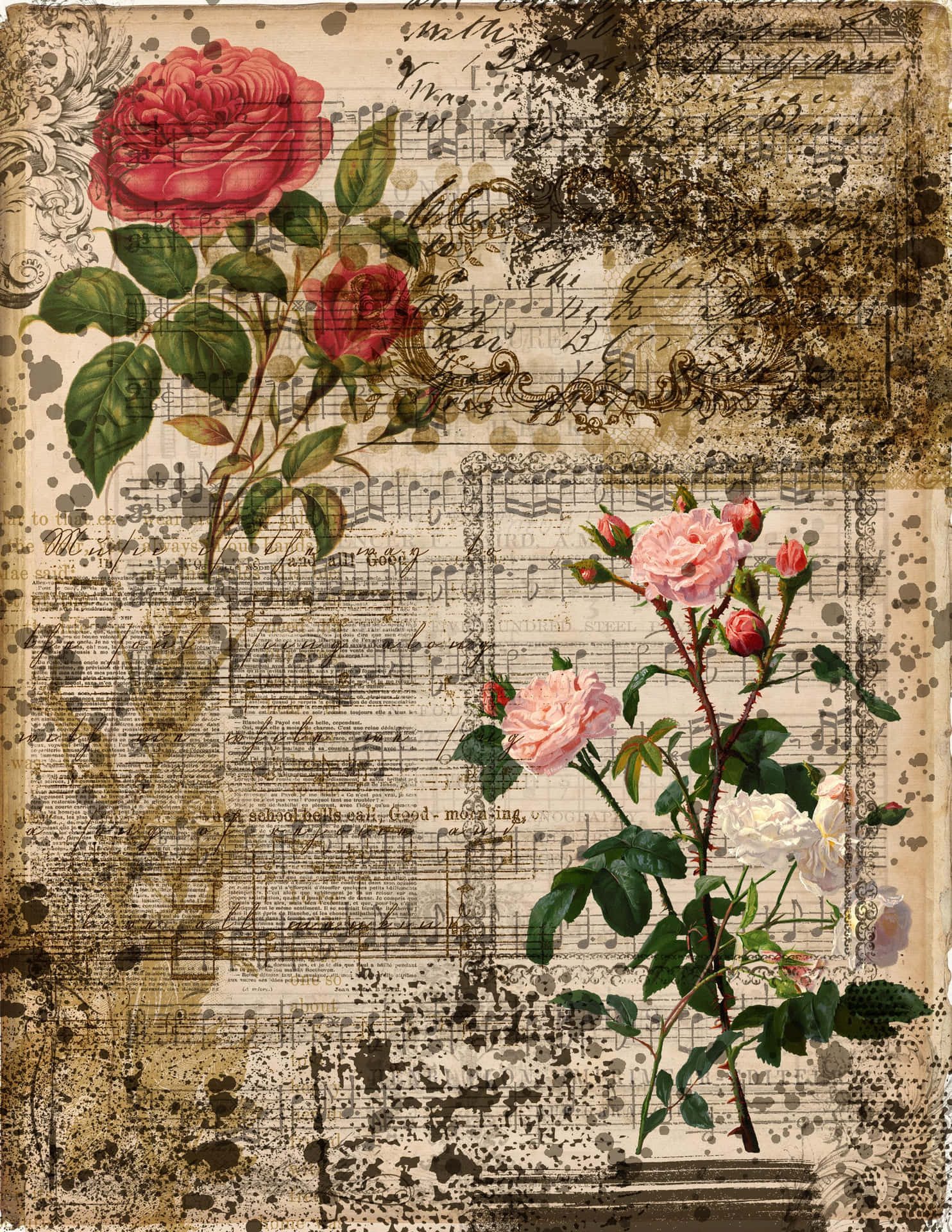 Elegant Vintage Rose in Full Bloom Wallpaper