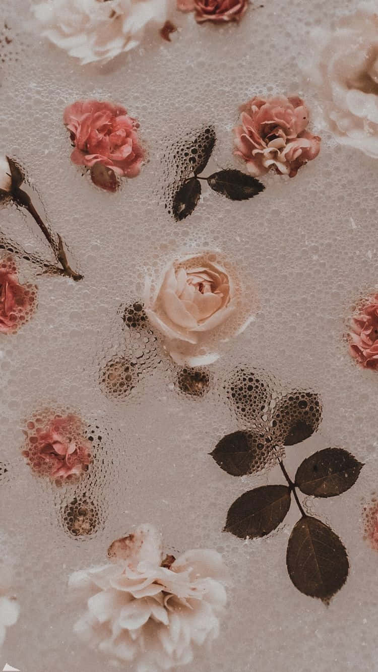 A Beautiful Vintage Pink Rose Wallpaper