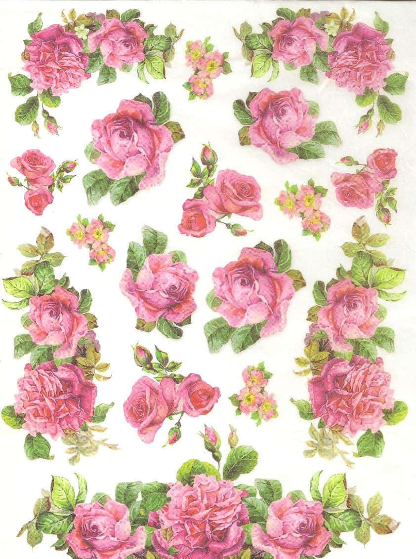 Elegant Vintage Rose Wallpaper Wallpaper