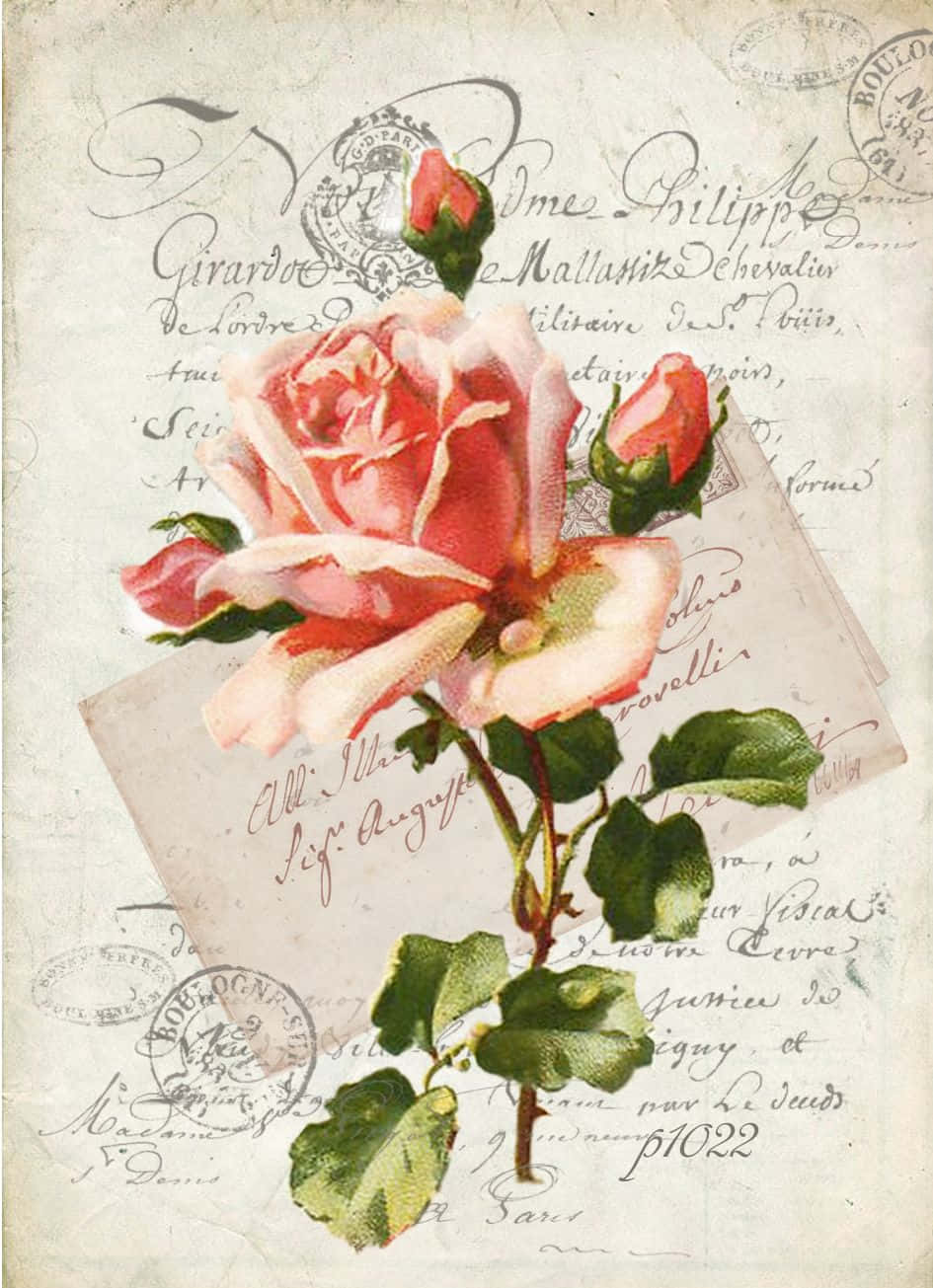 Elegant Vintage Rose Wallpaper Wallpaper
