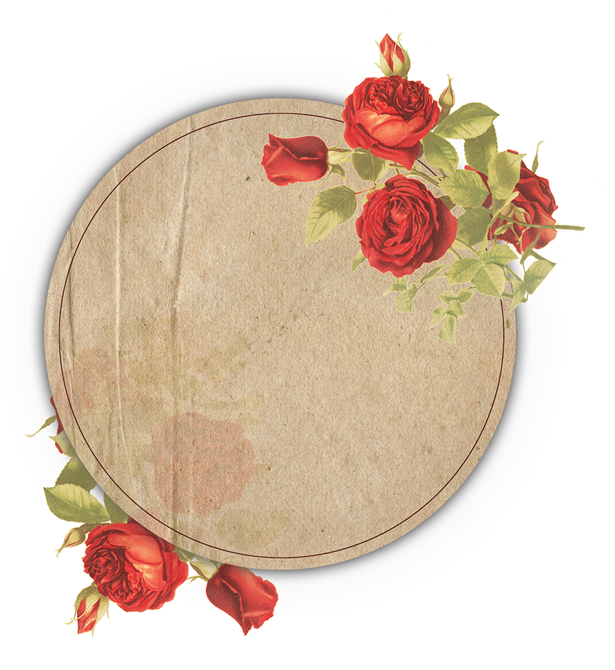 Vintage Rose Decorated Frame PNG