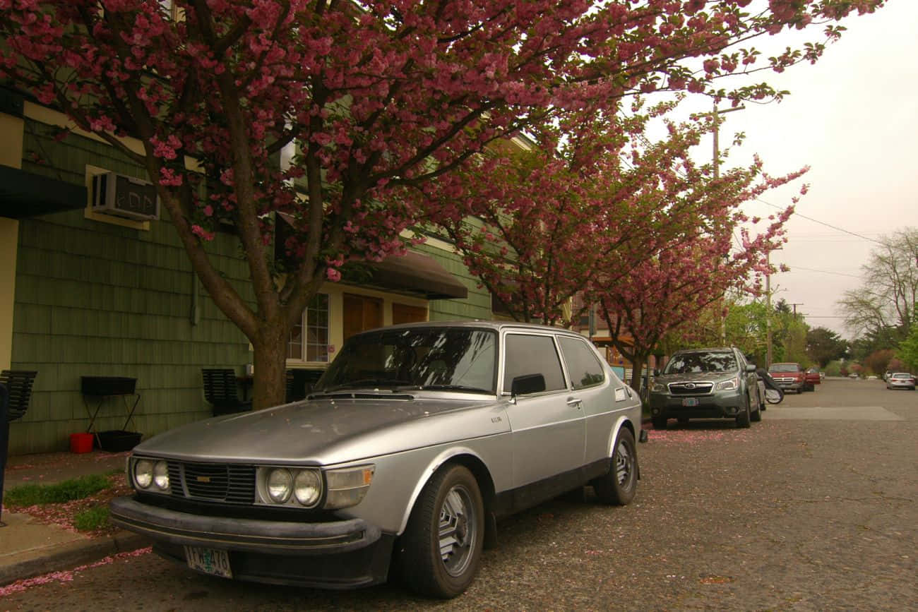 Vintage Saab 99 Parked On Scenic Roadway Wallpaper