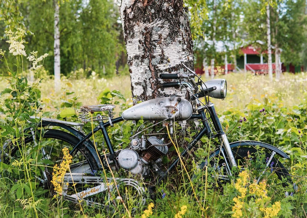 Vintage Sachs Motorcyclein Nature Wallpaper