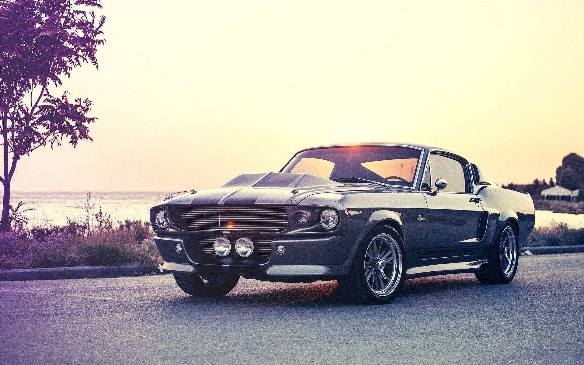 Klassischer Shelby Mustang Muscle Car Wallpaper