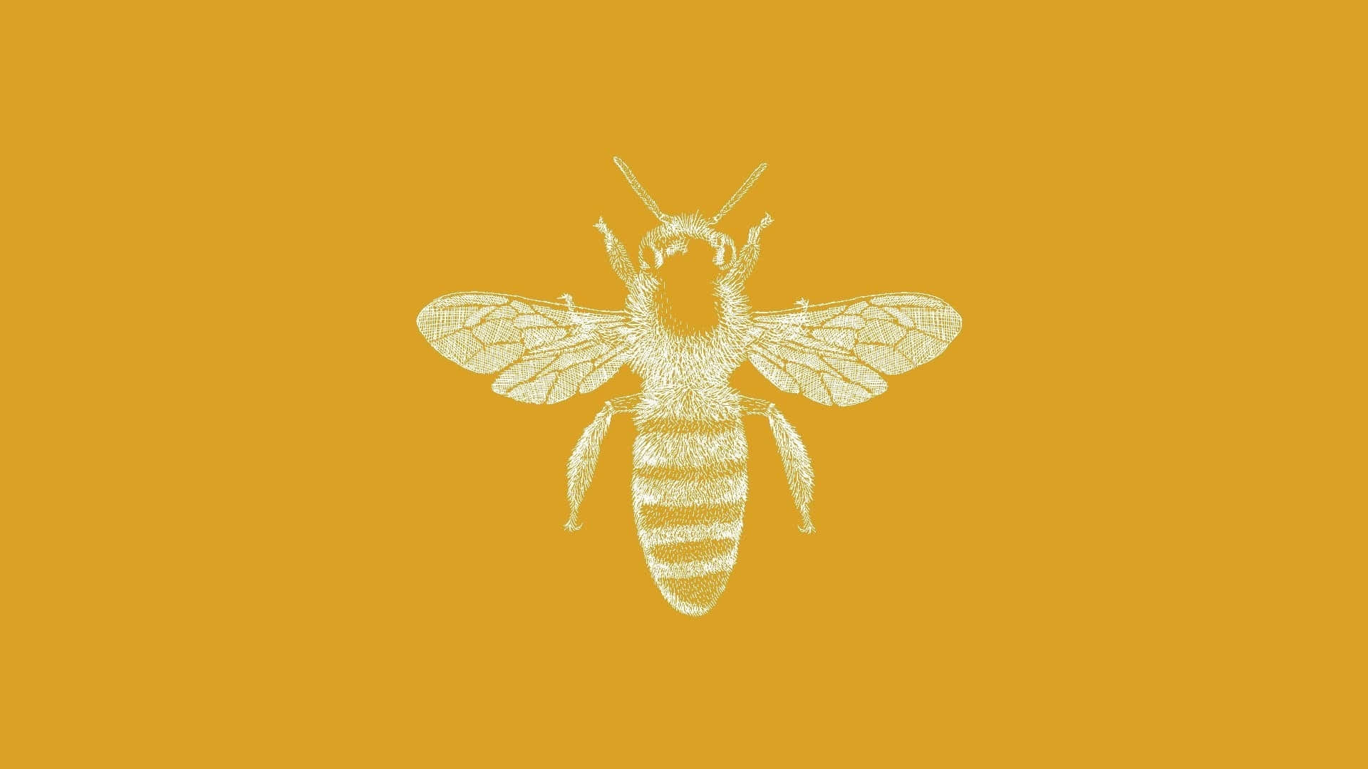 Vintage Sketch Bee Yellow Background Wallpaper
