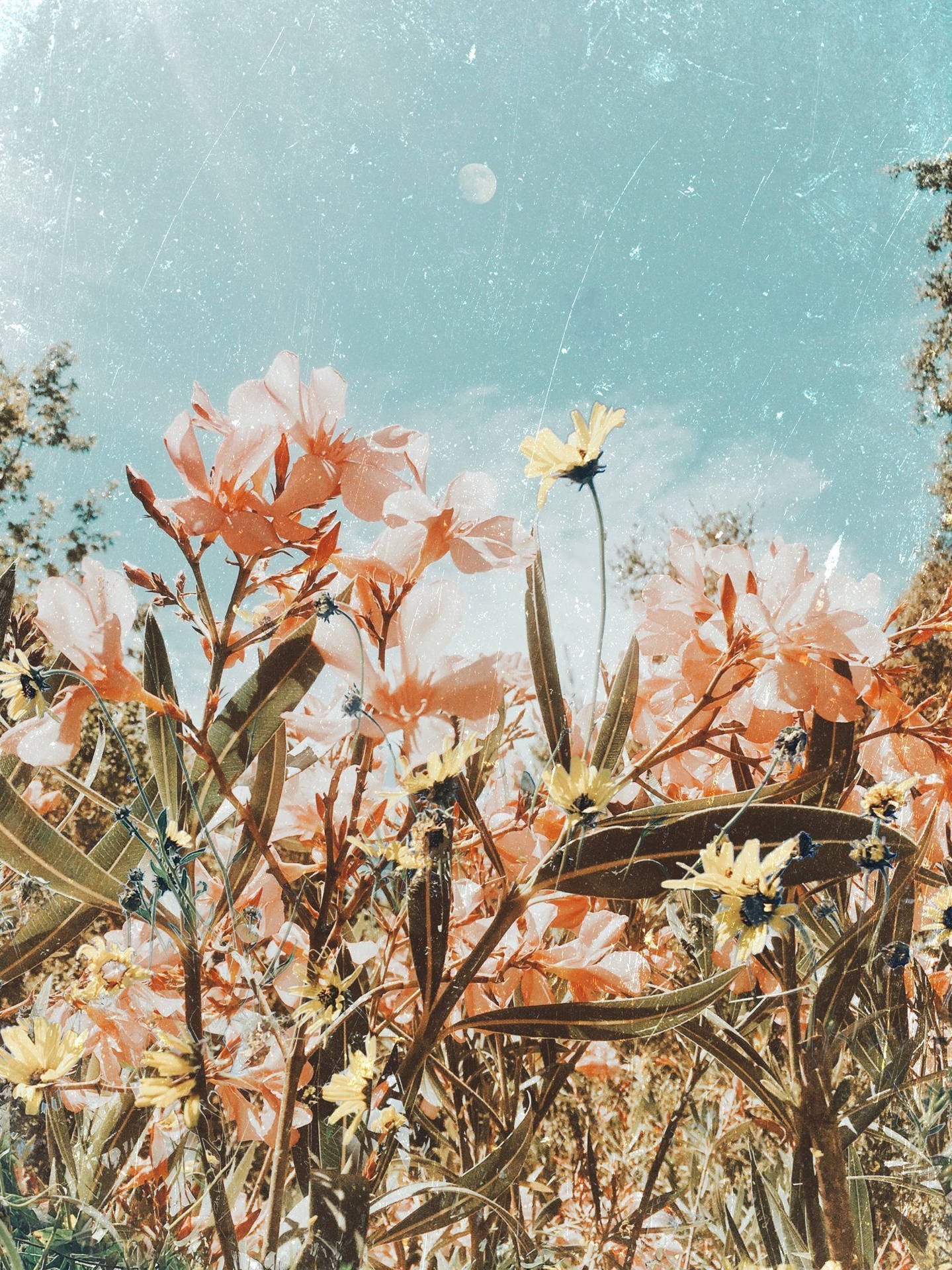 Floresestéticas De Primavera Vintage. Fondo de pantalla