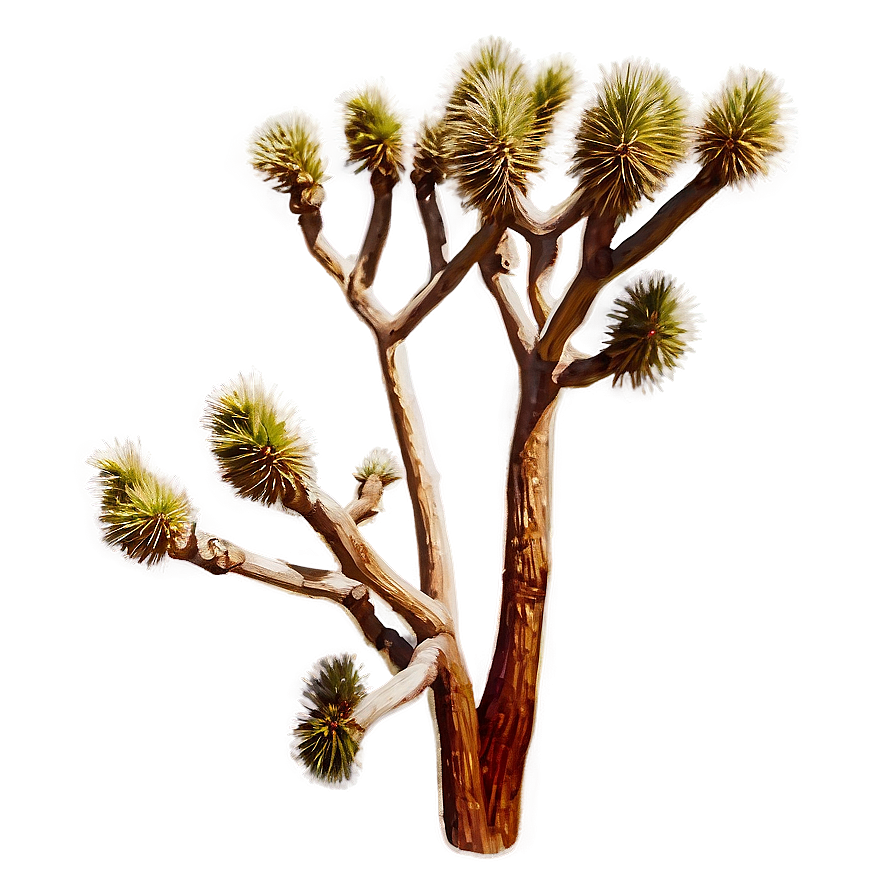 Vintage Style Joshua Tree Png 06262024 PNG