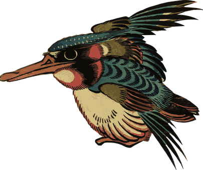 Vintage Styled Kingfisher Illustration PNG