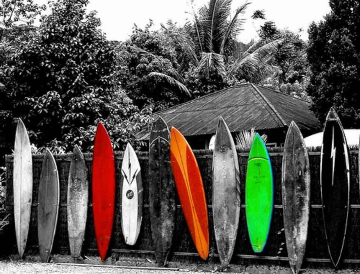 The Vintage Surf Riding Experience Wallpaper