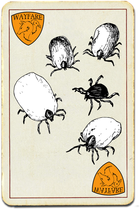 Vintage Tick Illustration Card PNG