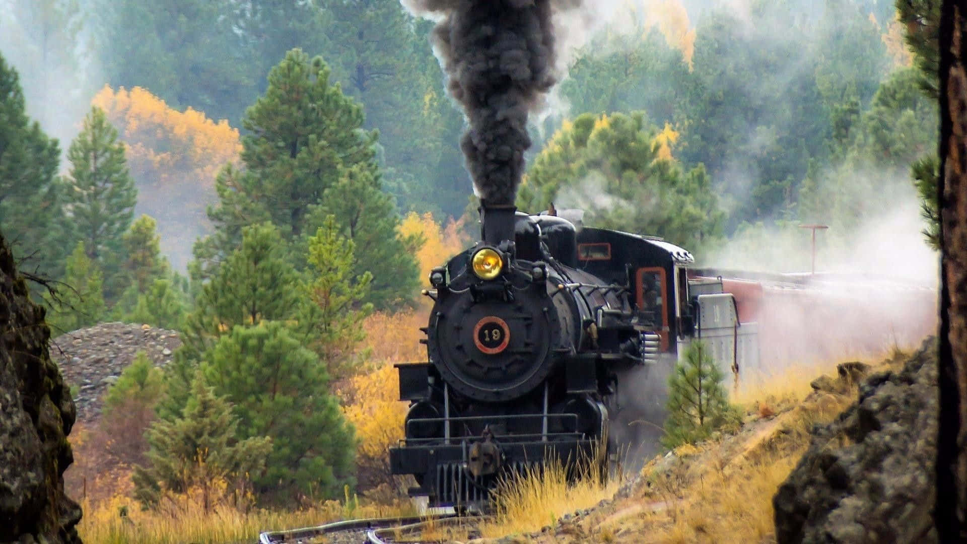 Vintage Train On Rural Track