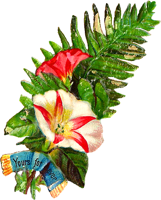 Vintage Tropical Floral Arrangement PNG