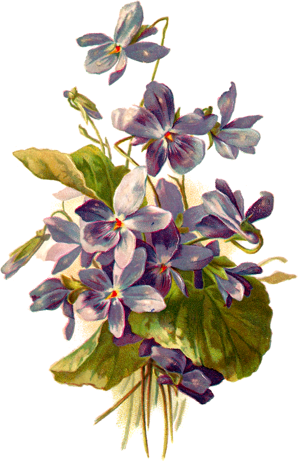 Vintage Violet Floral Illustration PNG