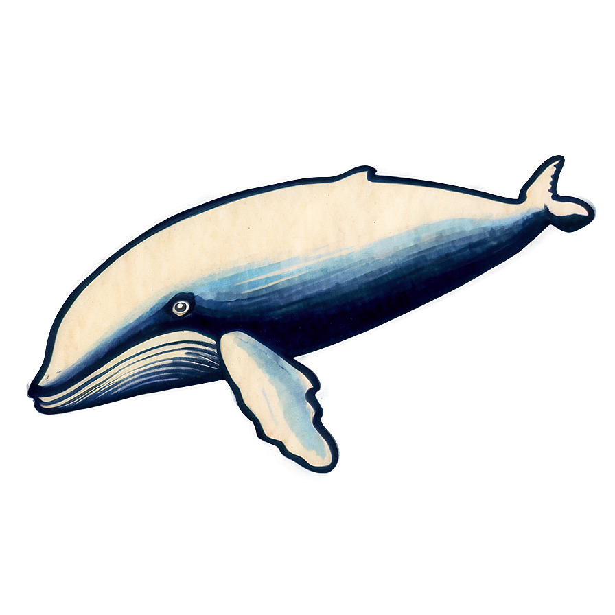 Download Vintage Whale Drawing Png Xki | Wallpapers.com