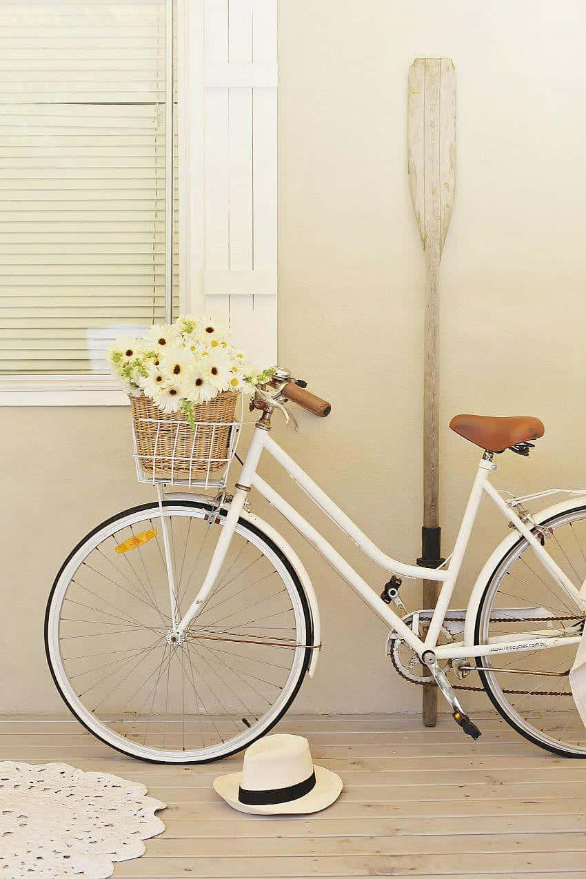 Vélo Vintage Blanc Avec Panier Floral Fond d'écran