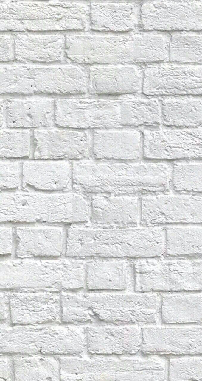 Image  White Brick in Flemish Bond Pattern Wallpaper