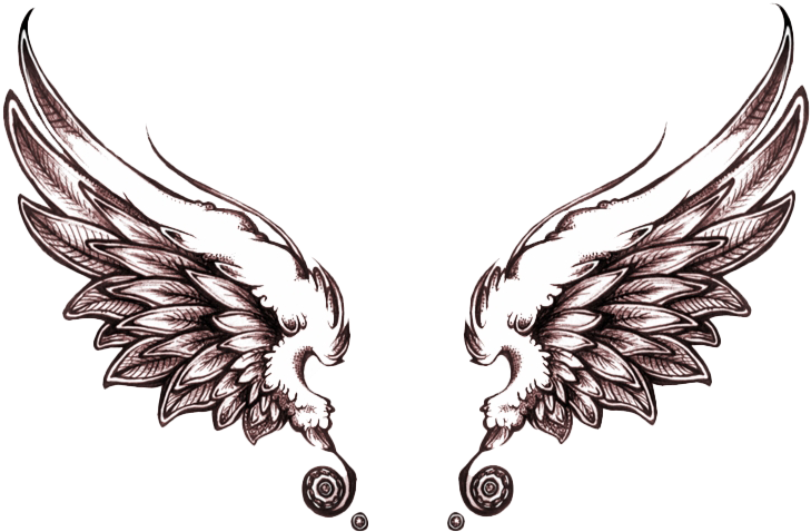 Vintage Winged Eagle Emblem PNG