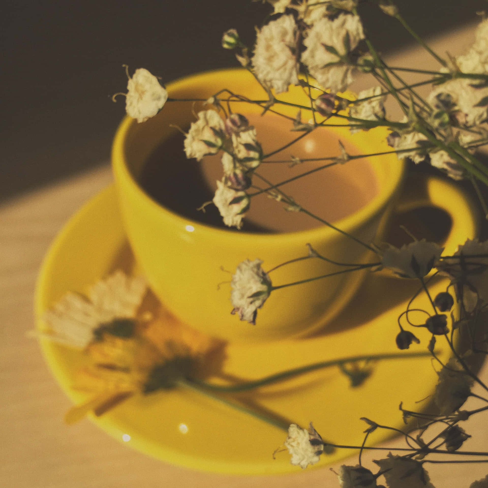 Vintage Yellow Cup With Dried Flowers Wallpaper
