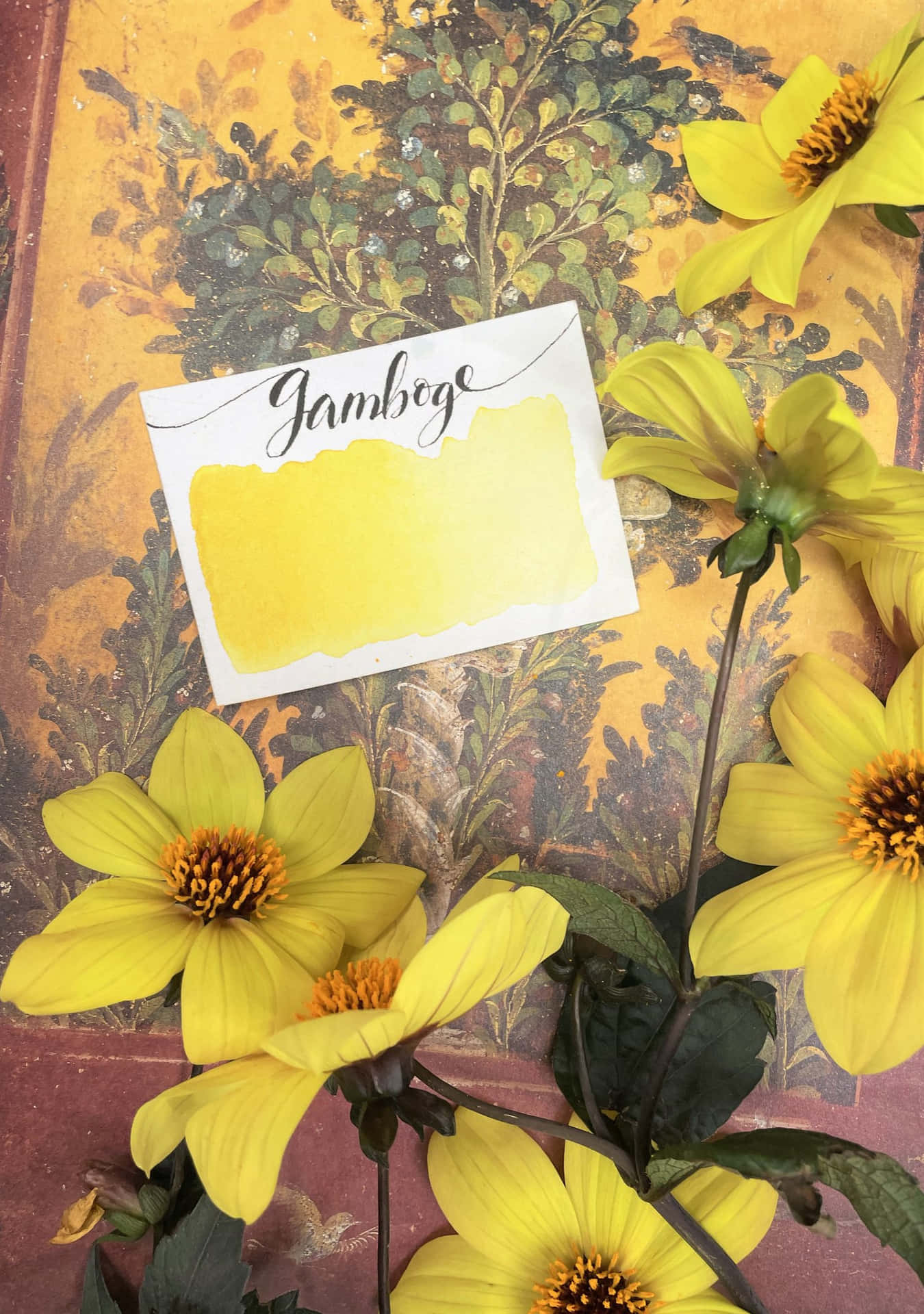Vintage Yellow Floral Aesthetic Wallpaper