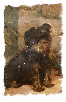 Vintage Yorkshire Terrier Painting PNG