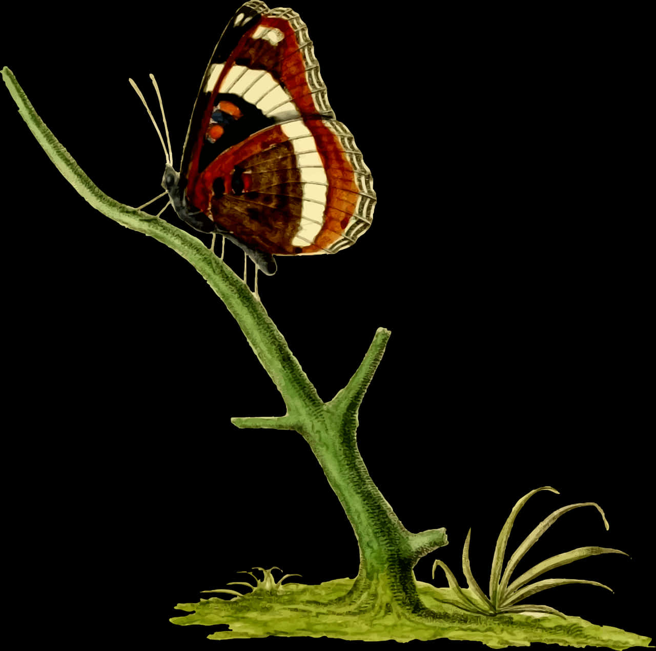 Vintage_ Illustrated_ Butterfly_ Perched PNG