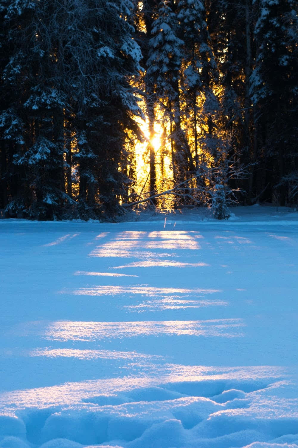 Vinter Iphone Baggrunde